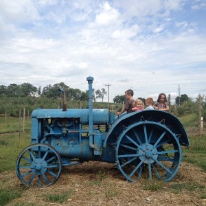 The kids can climb on old tractors...at Arbor Day Farm in Nebraska City