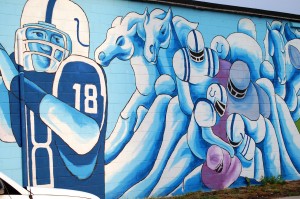 Indianapolis Colts Wall Mural