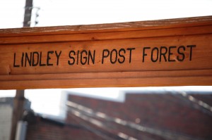 Lindley Sign Post Forest Sign