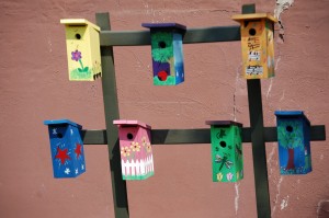 Colorful Birdhouses in a park next door to the Fischer Theater