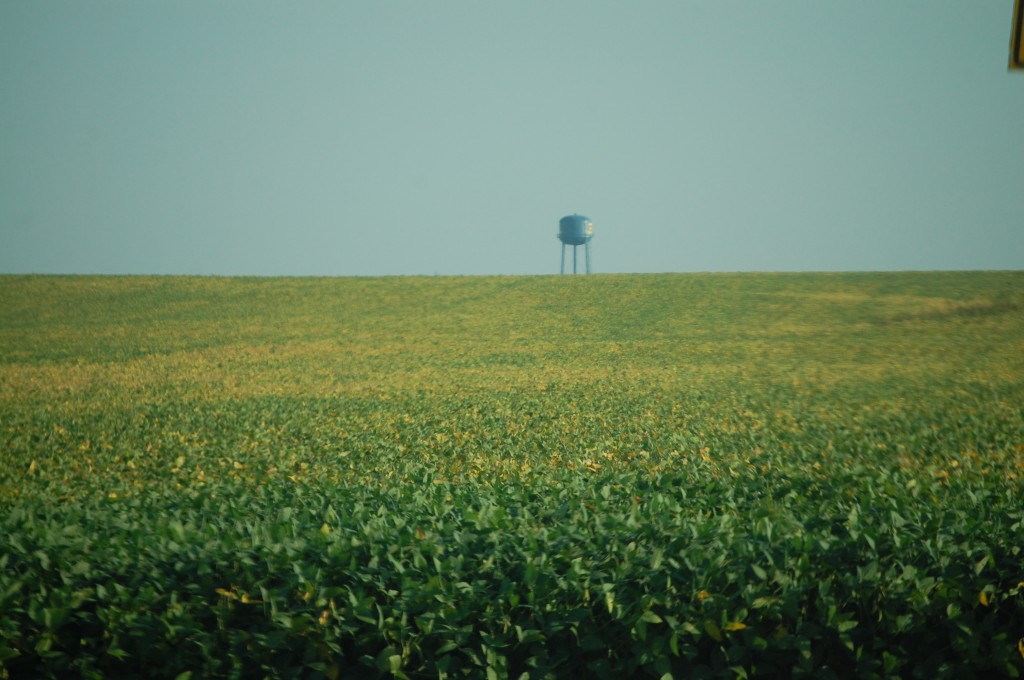 Walcott Corn Fields with water tower in the background