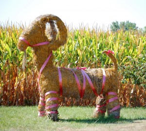 The famous Straw Goat from Swedesburg.