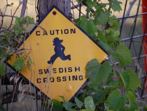 Caution - Swedish Crossing in Swedesburg, IA