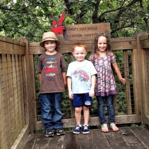 Kids at the summit of the Canopy Tree House