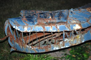 Dimetrodon's Sharp Teeth - watch out!!