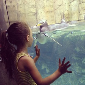 Grand daughter Joselyn face to face with a Penguin (photo by Marissa Noe)