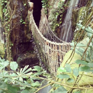Rainforest bridge at Henry Doorly Zoo (photo by Marissa Noe)