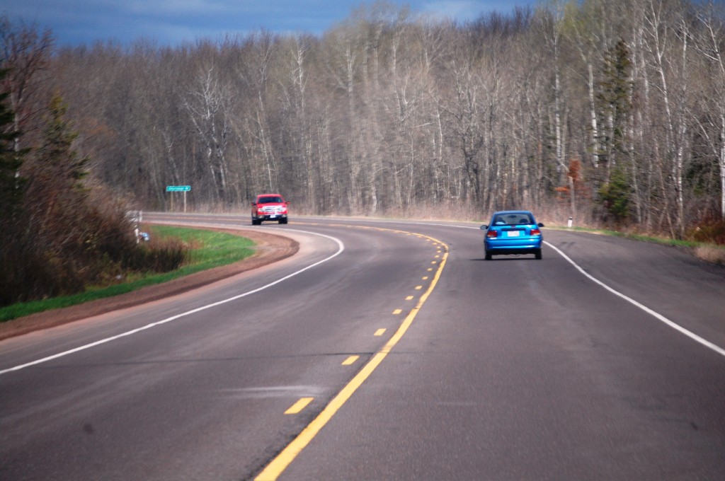 Miles of birch forest line Route 2 in eastern Wisconsin