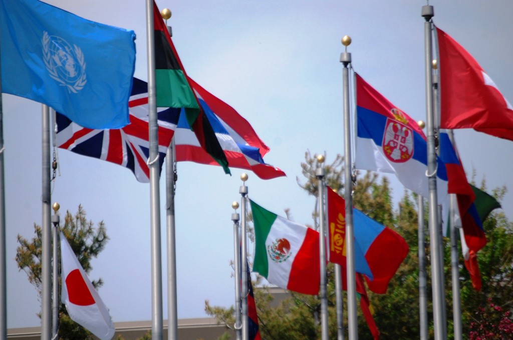 Over 60 flags fly at the Keeling-Puri Peace Plaza in Rockford, IL