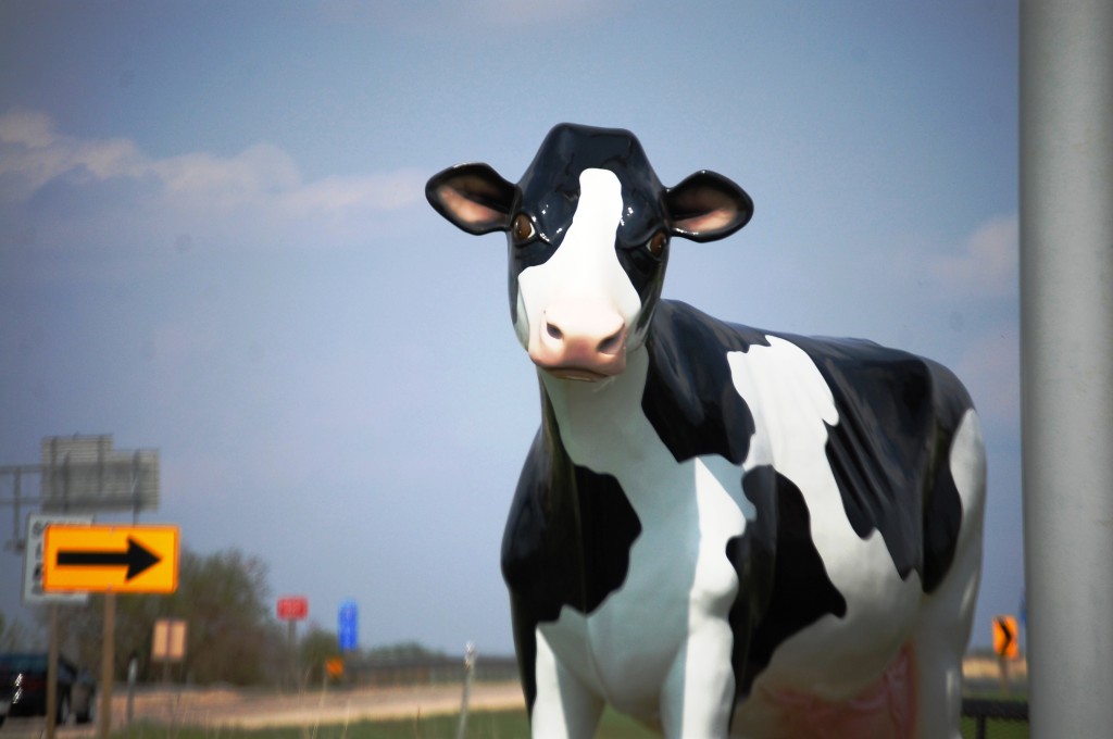 The Beloit Holstein Cow outside of Cornellier Superstore