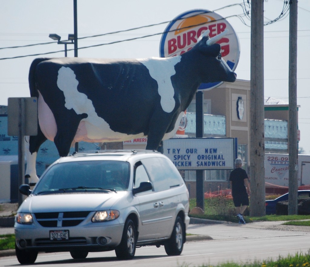 Sissy the Cow in DeForest, WI.  Playing a little "Chick-Fil-A" on Burger King!!