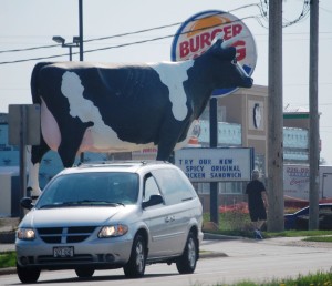 Sissy the Cow in DeForest, WI. Playing a little "Chick-Fil-A" on Burger King!!