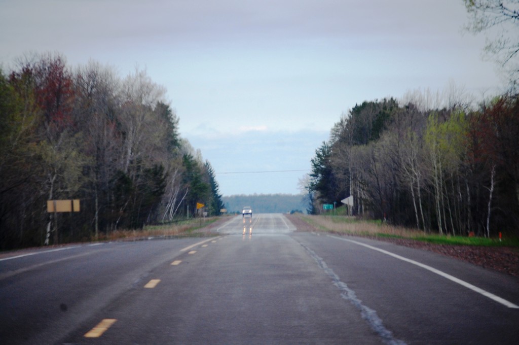 Birch forests line the highway on US Route 2 in eastern Wisconsin