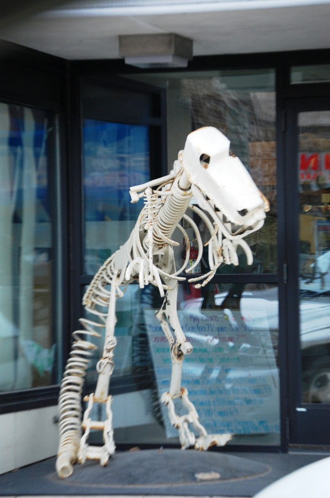 Scrap Metal T-Rex in front of a shop in Bemidji