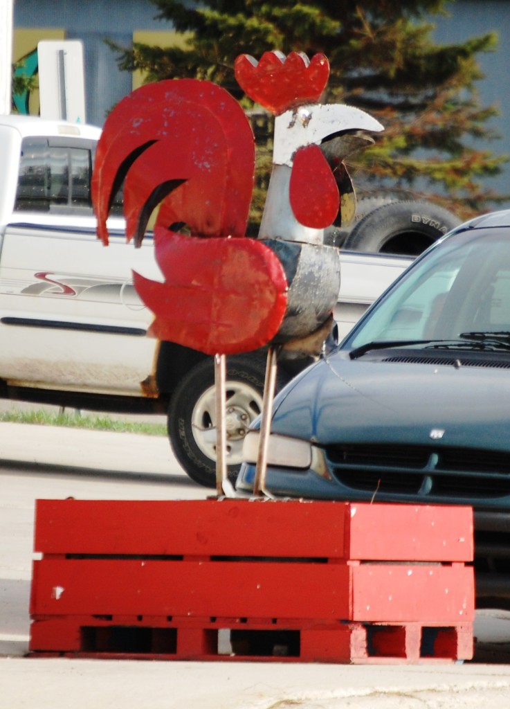 Metal Rooster in McIntosh, MN