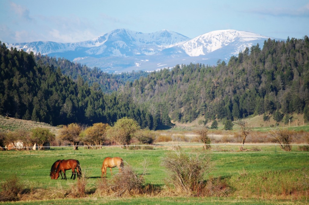 Mountain Scene in Montana