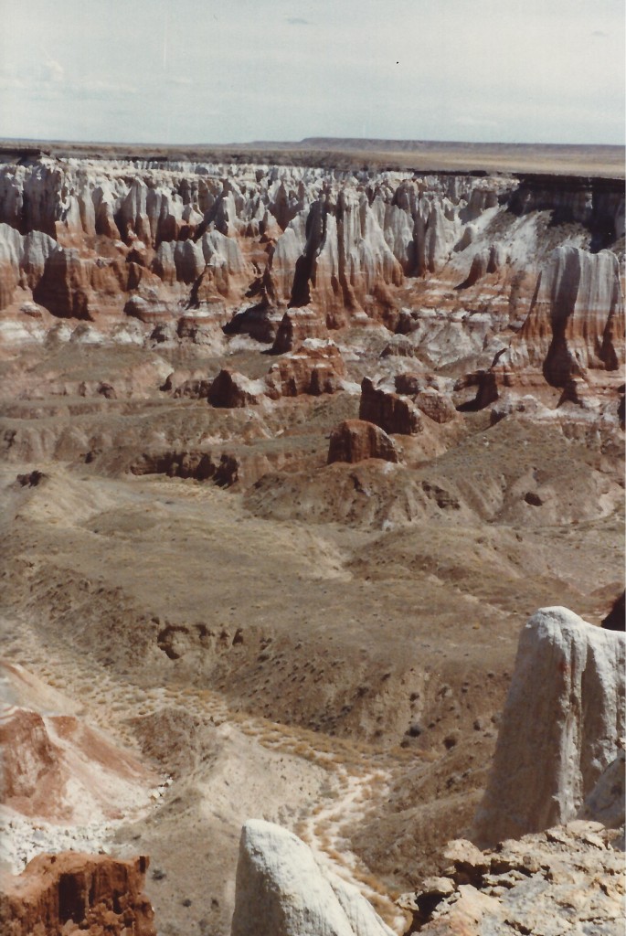 Another view of Coal Mine Canyon, AZ in 1983