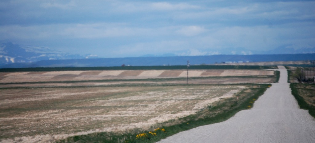 Farmland along the road to Rock City