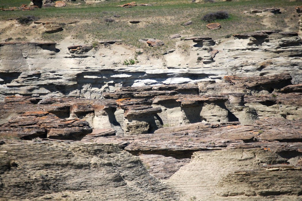 Hoodoos of Rock City