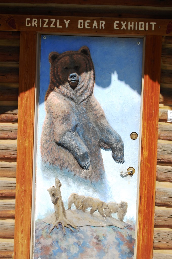 Grizzly Bear Exhibit at the Old Trail Museum