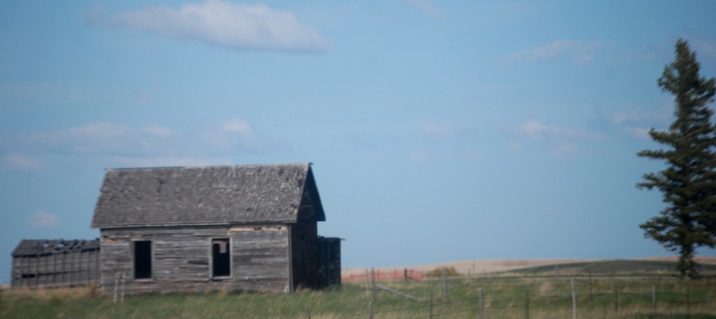 Old cabin near Pendroy, Montana