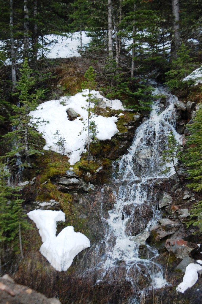 I saw numerous snow runoff formed waterfalls that fed into the raging Belt Creek. This was one of the nice ones.