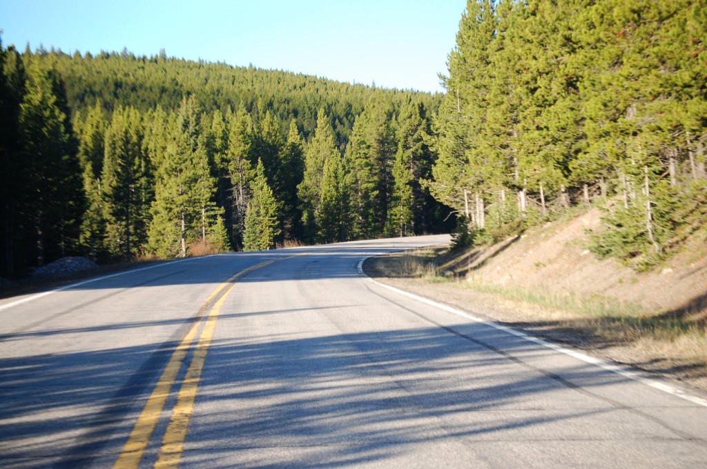 Most of the drive on US 89 south of Neihart is in the pine forests.