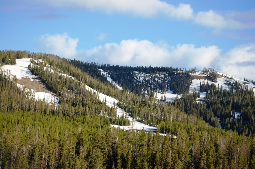 Ski Trails of Showdown near Kings Hill Pass