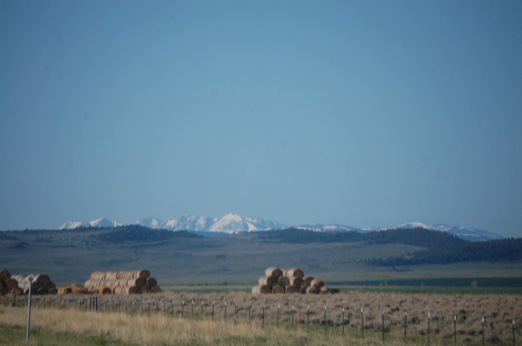 Battling peaks of hay challenge the snow capped peaks in the distance south of White Sulphur Springs