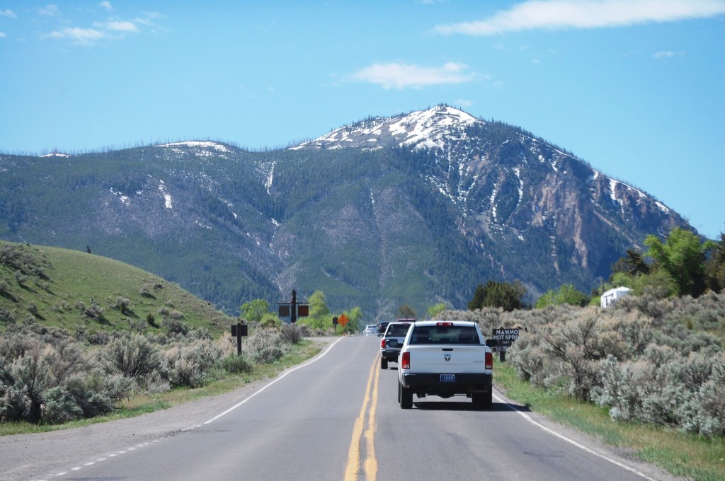 Road into Mammoth Hot Springs