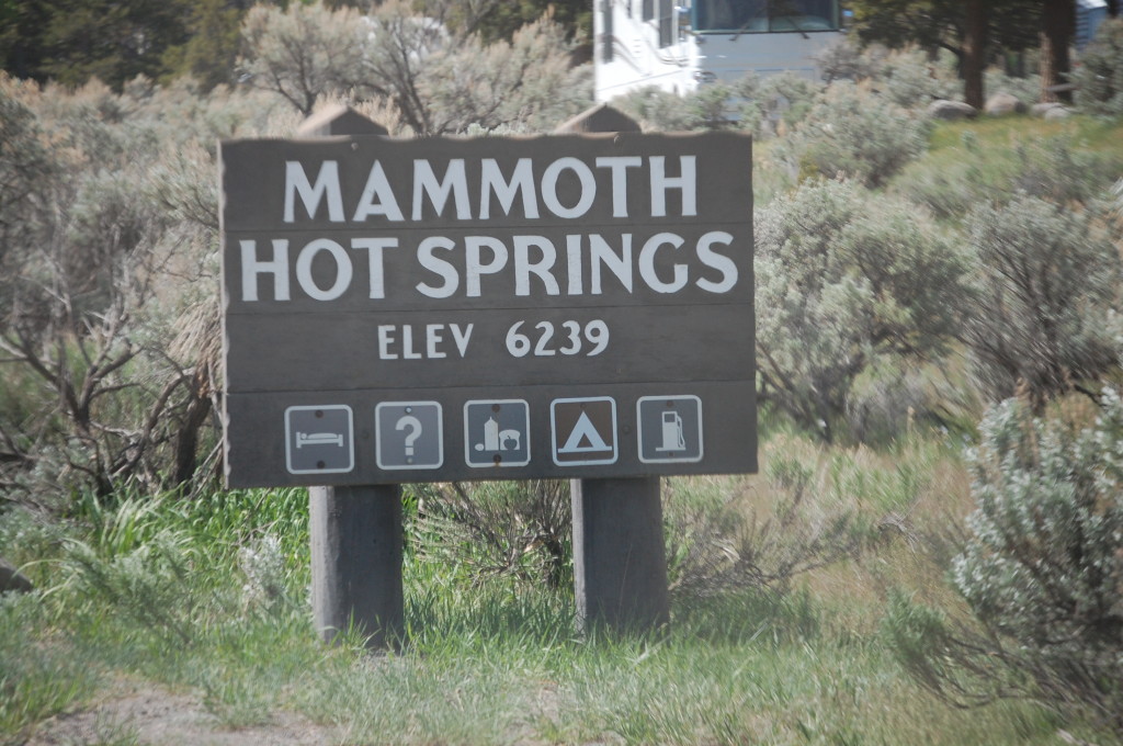 Mammoth Hot Springs in Yellowstone National Park