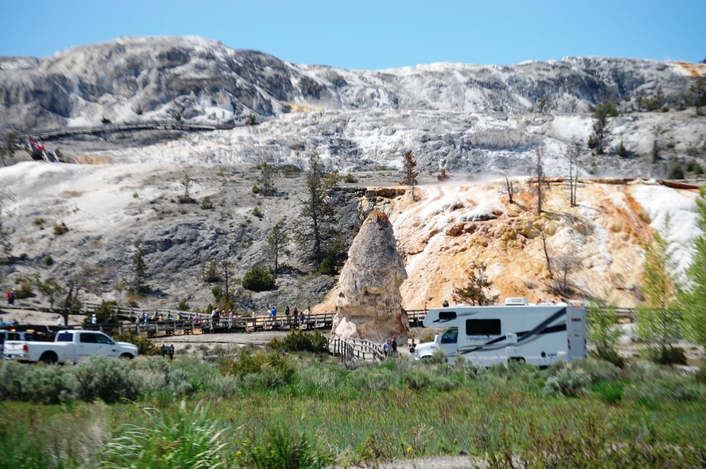 Liberty Cap (the big cone) and the hot springs in the background