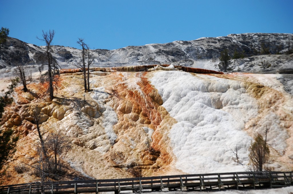 A shot of Mammoth Hot Springs