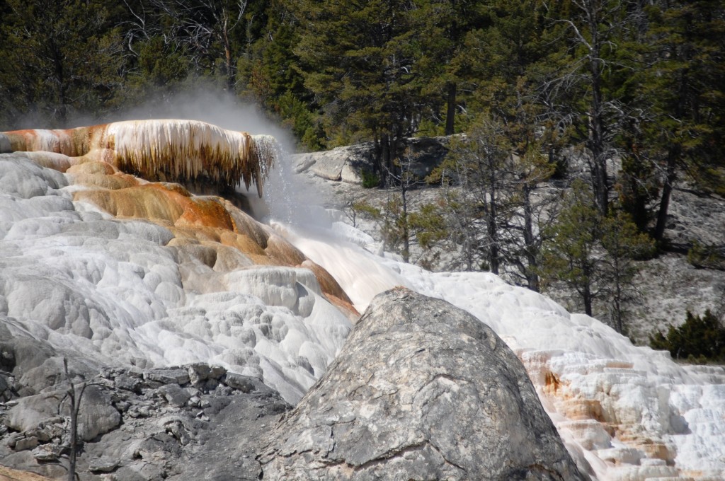 Another view of the Mammoth Hot Springs