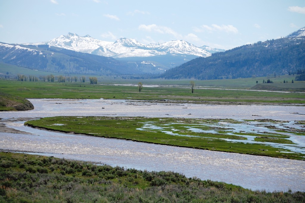 Lava Creek with snow capped mountains in the background