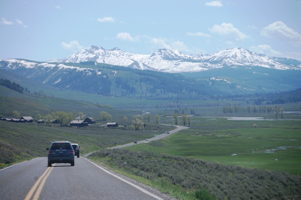 Eastern potion of Grand Loop Road