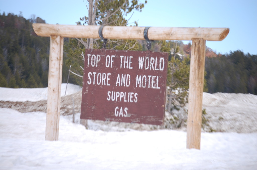 Welcome to Top of the World Store