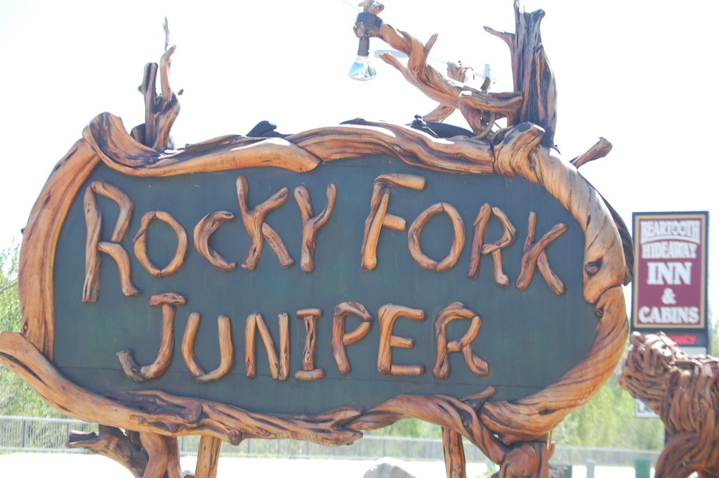 Rocky Fork Juniper, Red Lodge, Montana