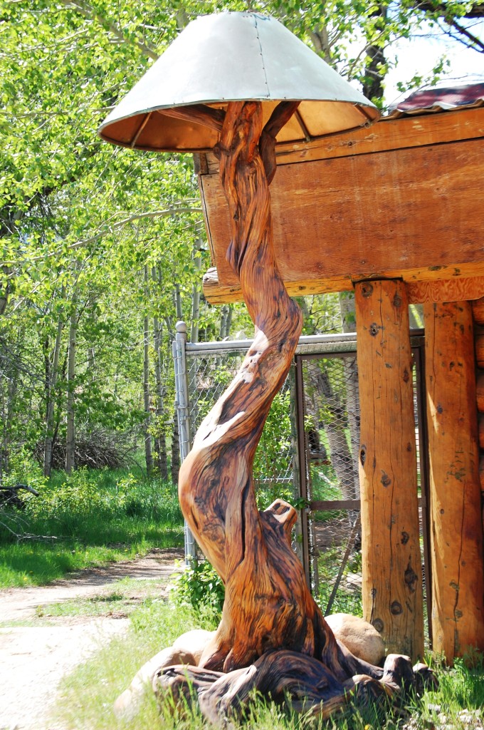 Whimsical Lamp made of juniper at Rock Fork