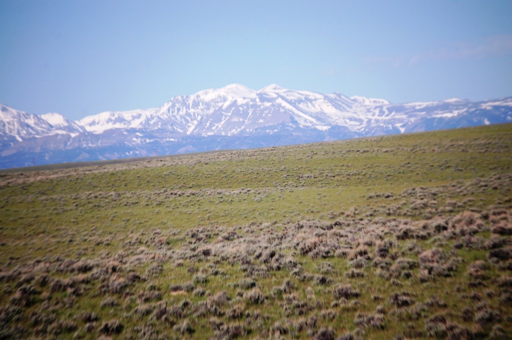 Mountains and Sagebrush as seen from Wyoming 120 - I believe this is Wapiti Ridge