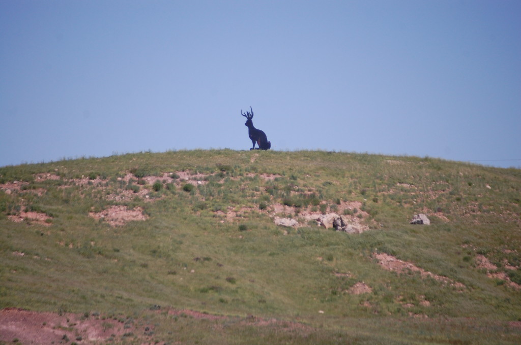 There's a jackalope in them thar hills!!