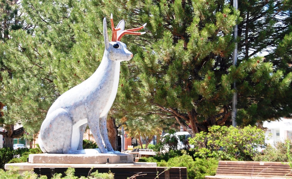 Another Jackalope is spotted in Douglas