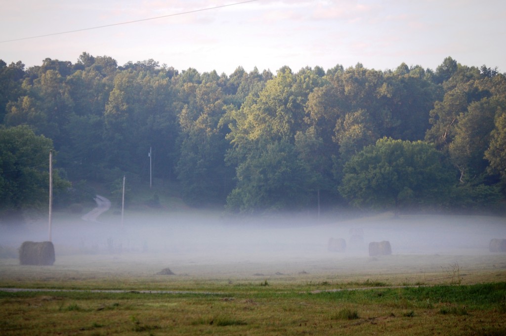 Mist covered farmland as seen from Kentucky Highway 79