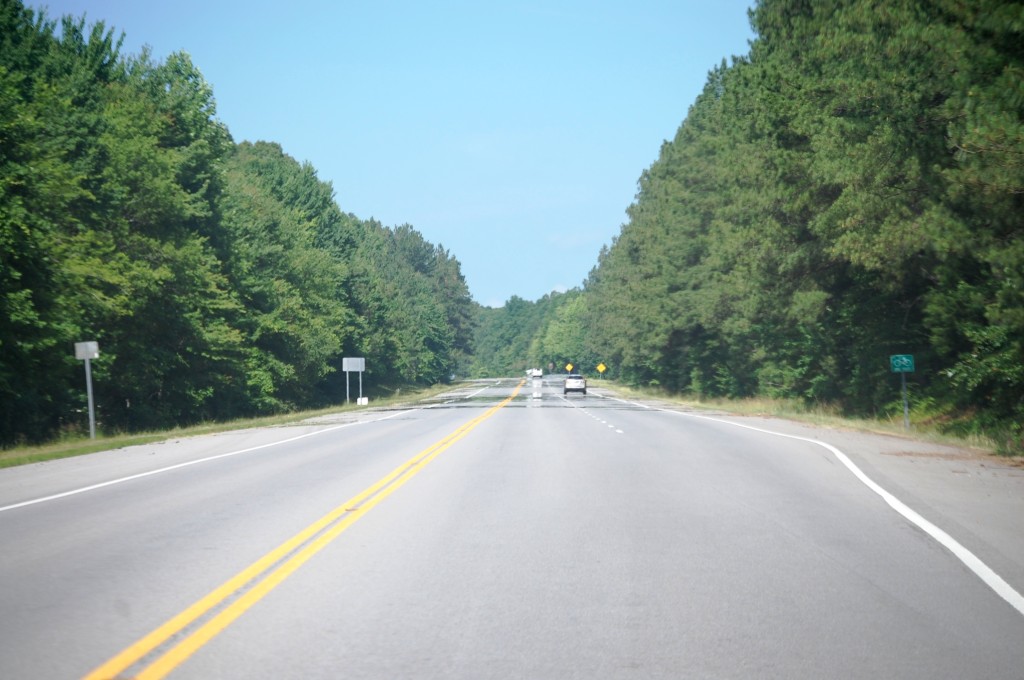 US 79 south of Dover, TN -- pine-walled highway