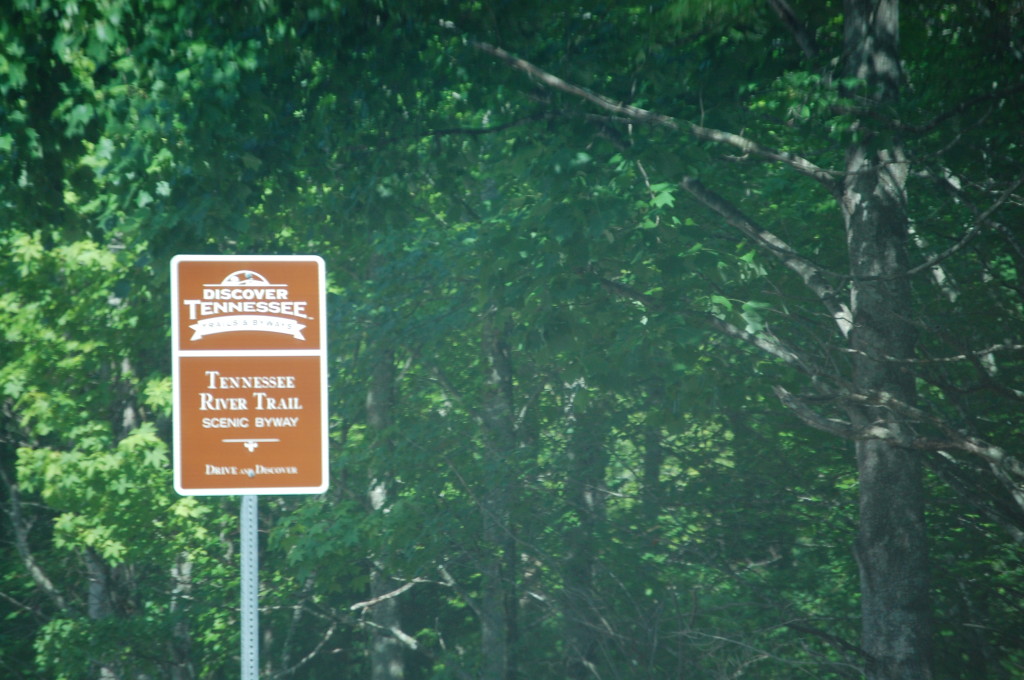 Tennessee River Trail south of Dover, TN