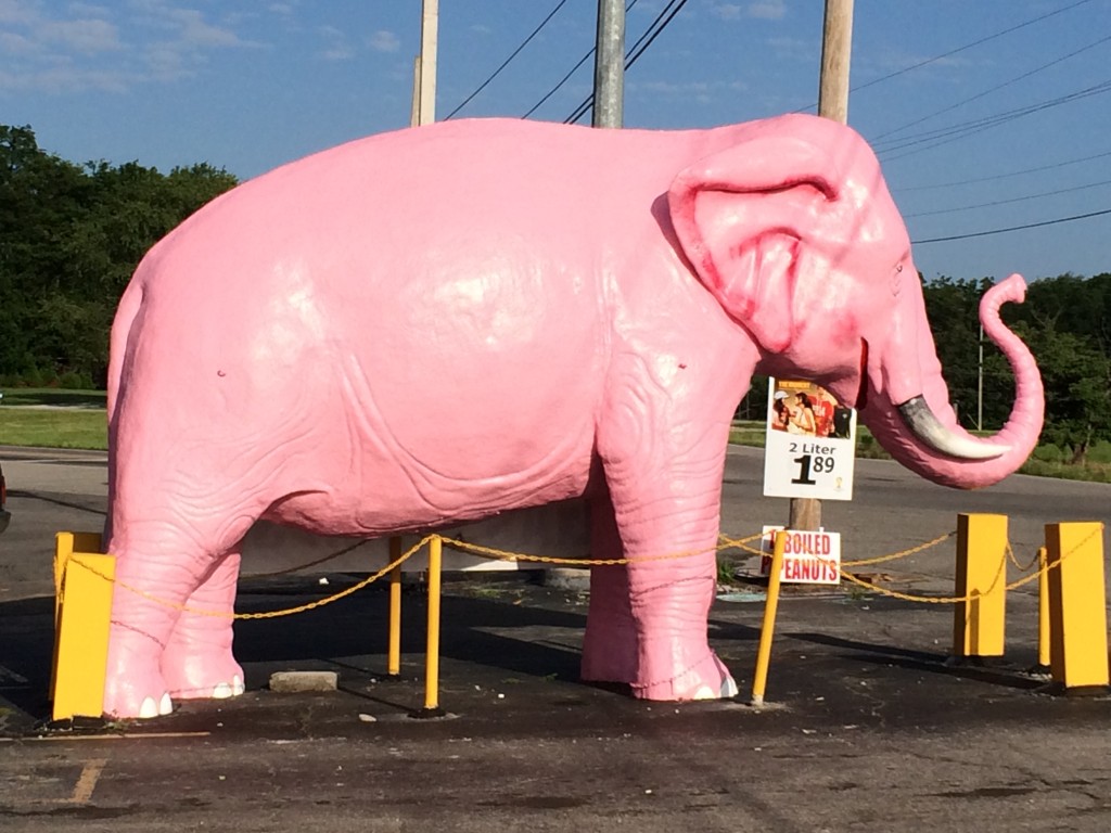 Pink Elephant in front of a convenience store in Guthrie, KY