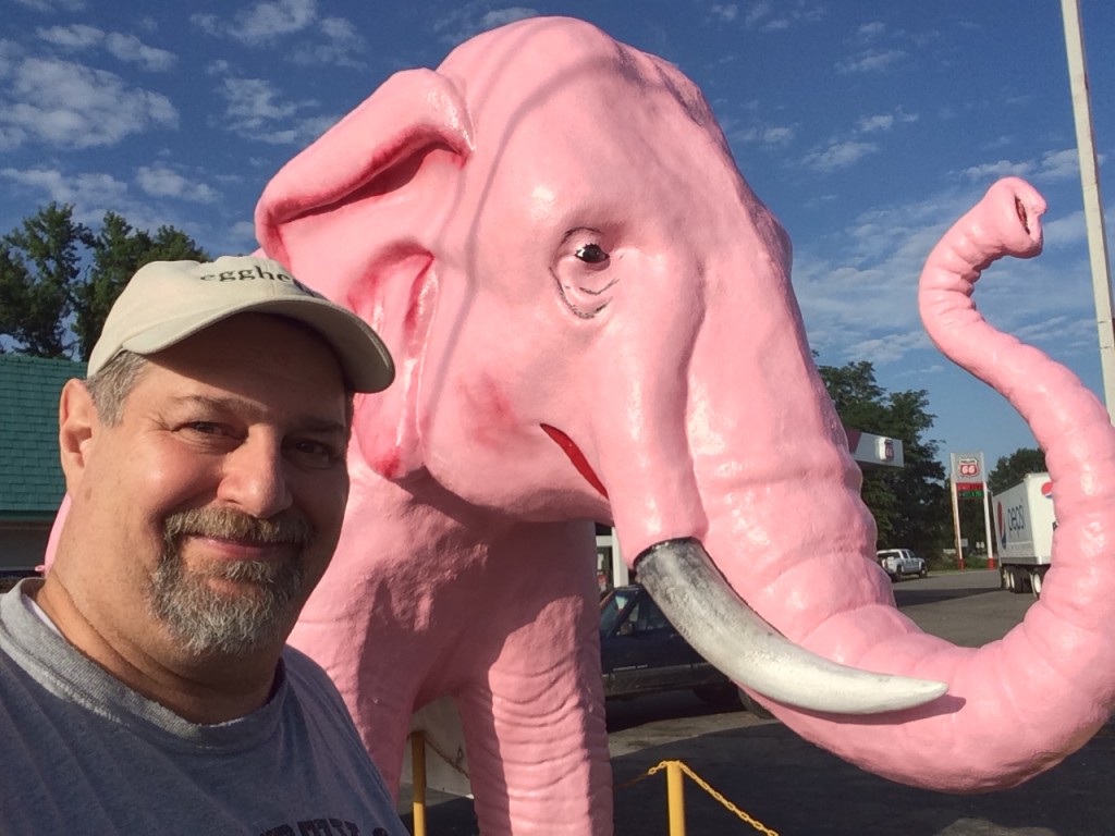 Sumoflam with Pink Elephant in Guthrie, KY