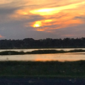 Wetlands and sunset as seen on TX 124 south of Winnie, TX