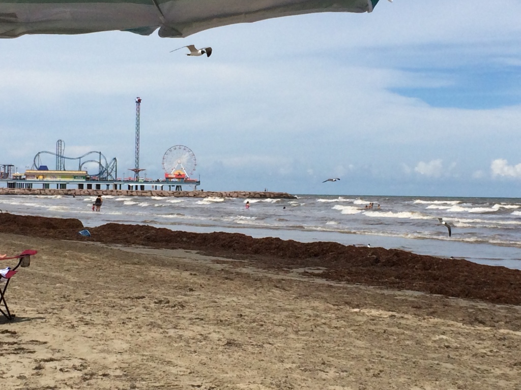 A beach shot with Pleasure Pier in the Distance