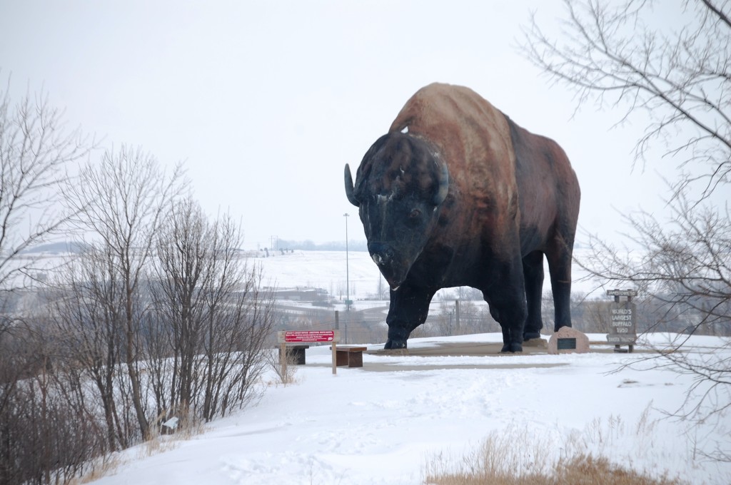 World's Largest Buffalo, Jamestown, ND